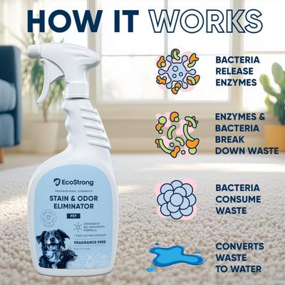 Show full view: EcoStrong Fragrance Free Dog Stain & Odor Eliminator, 32-fl oz spray bottle slide 6 of 9