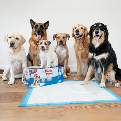 Show full view: Wee-Wee Pads Superior Performance with Runoff Edge Guard Dog Pee Pads, Gigantic, 27.5 x 44-in, 18 count slide 5 of 12