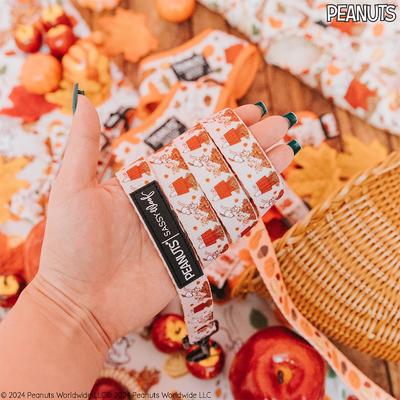 Show full view: Sassy Woof Peanuts Harvest Dog Leash, 5-ft long, 4/5-in wide slide 5 of 8