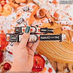 Sassy Woof Peanuts Harvest Dog Collar, Large: 26-in neck, 1-in wide slide 2 of 6