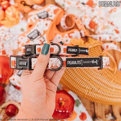 Show full view: Sassy Woof Peanuts Harvest Dog Collar, X-Small: 9.5-in neck, 1/3-in wide slide 5 of 6