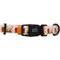 Show in main carousel: Sassy Woof Peanuts Harvest Dog Collar, Large: 26-in neck, 1-in wide slide 2 of 6