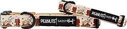 Sassy Woof Peanuts Harvest Dog Collar, Medium: 19.7-in neck, 3/4-in wide