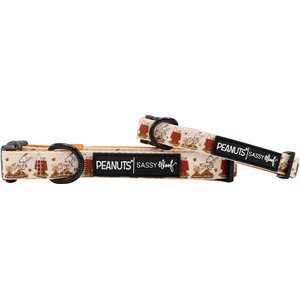 Sassy Woof Peanuts Harvest Dog Collar, X-Small: 9.5-in neck, 1/3-in wide