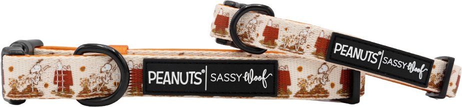 Sassy Woof Peanuts Harvest Dog Collar, Large: 26-in neck, 1-in wide