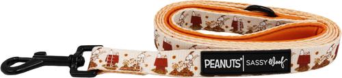 Show full view: Sassy Woof Peanuts Harvest Dog Leash, 5-ft long, 4/5-in wide slide 2 of 8