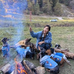 The Weens Camping with the Weens Plush Puzzle Dog Toy slide 2 of 5