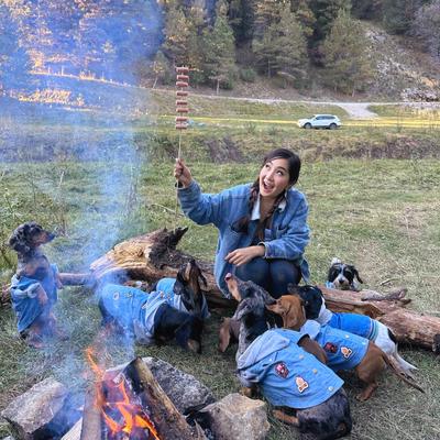 Show full view: The Weens Camping with the Weens Plush Puzzle Dog Toy slide 5 of 5