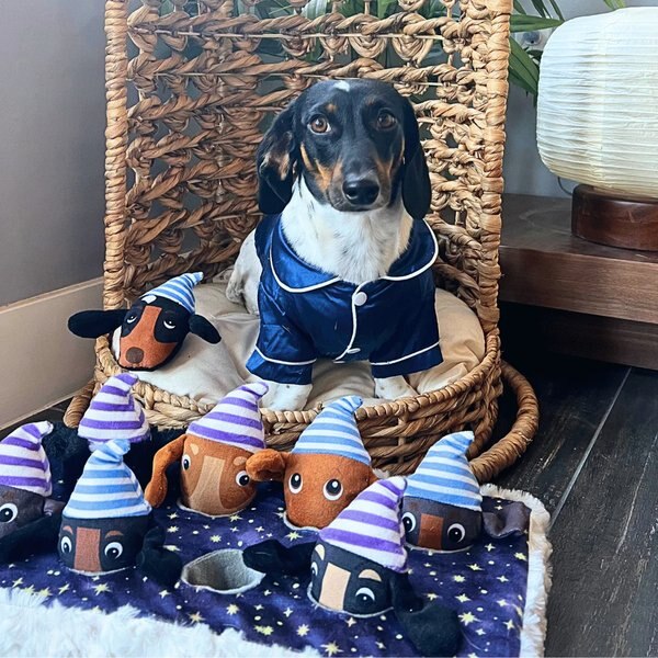The Weens Camping with the Weens Plush Puzzle Dog Toy