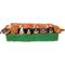 Show in main carousel: The Weens Glizzies Plush Puzzle Dog Toy slide 3 of 7