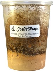 Josh's Frogs Producing Wingless Drosophila Melanogaster Fruit Fly Culture Live Feed Reptile Food