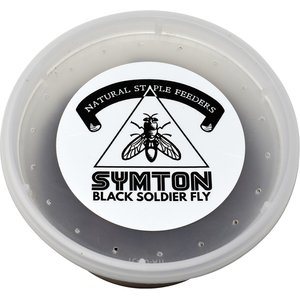 Symton Large Live Black Soldier Fly Larvae Lizard Food, 1000 count