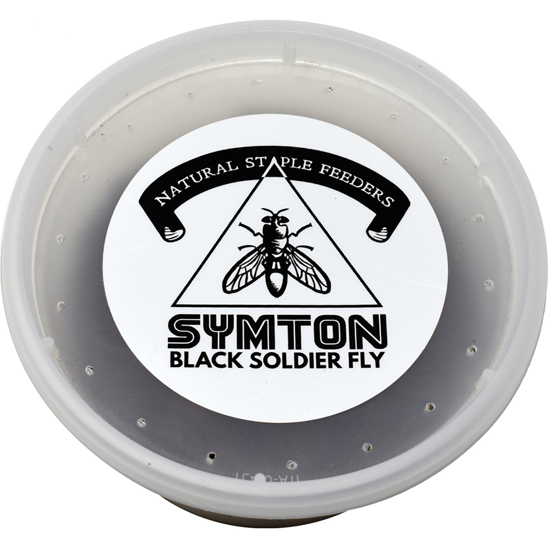 Symton Large Live Black Soldier Fly Larvae Lizard Food, 500 count