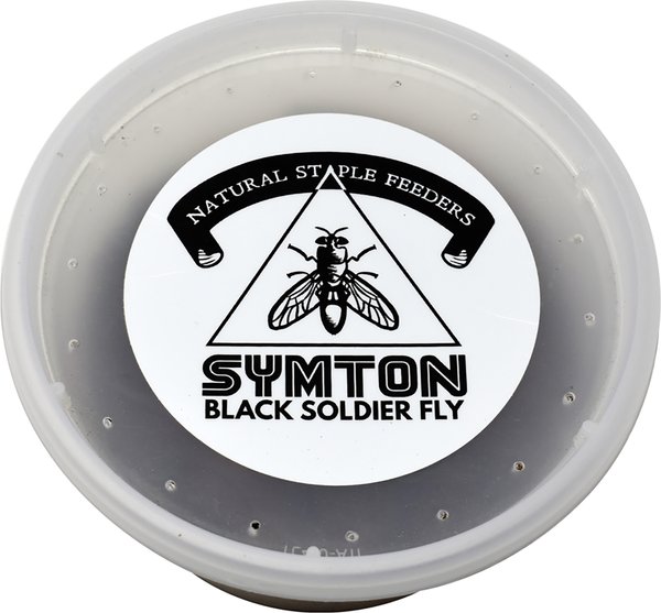 Show full view: Symton Small Live Black Soldier Fly Larvae Lizard Food, 1,000 count slide 1 of 9