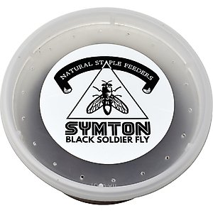 Symton Small Live Black Soldier Fly Larvae Lizard Food, 2,000 count
