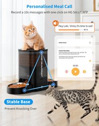 HONEYGUARDIAN WiFi Enabled Automatic Cat Feeder, 3.5-liter, Black slide 2 of 9