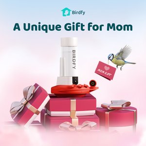 Birdfy Solar Powered Hummingbird Feeder AI Lifetime Free with 2K Dual Smart Cameras, Red, 20-oz