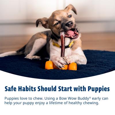 Show full view: Bow Wow Labs Buddy Starter Kit with Anti-Choking Safety Device Bully Sticks Dog Treats, Large slide 9 of 11