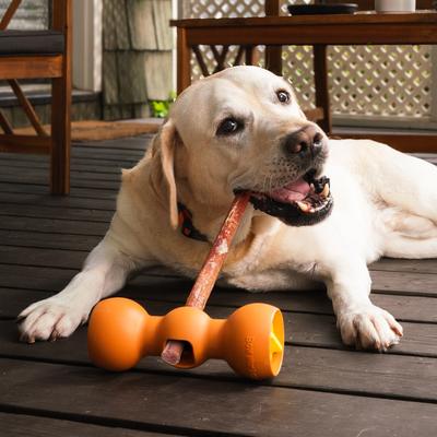 Show full view: Bow Wow Labs Buddy Safety Device Bully Stick Treat Holder, Orange, X-Large slide 4 of 11