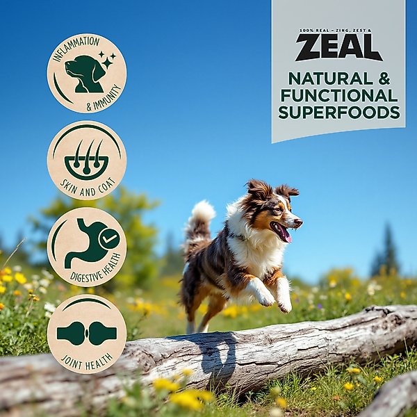 Show full view: ZEAL Turkey Recipe Grain-Free Gently Air-Dried Dog Food, 1-lb bag slide 6 of 11