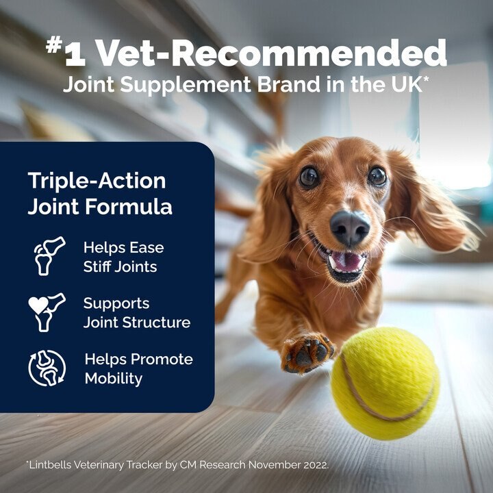 Vetnique Labs Seniorbliss Hip & Joint Mobility Plus Multivitamin Glucosamine Hickory Chicken & Bacon Flavored Soft Chew Supplement for Senior Dogs