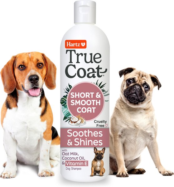 For Dogs Hartz Oatmeal Dog Shampoo Reviews Pack) Hartz UltraGuard