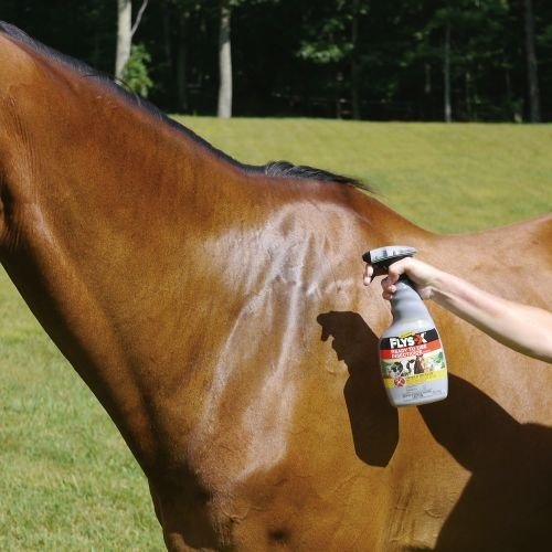 Show full view: Absorbine Flys-X Ready To Use Horse & Livestock Insecticide, 32-fl oz bottle slide 4 of 4