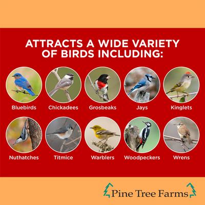 Show full view: Pine Tree Farms Never Melt Suet Hot Pepper Cake Bird Food, 12-oz tray, 12 count slide 3 of 10