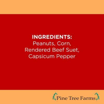 Show full view: Pine Tree Farms Never Melt Suet Hot Pepper Cake Bird Food, 12-oz tray, 12 count slide 5 of 10