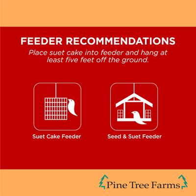 Show full view: Pine Tree Farms Never Melt Suet Hot Pepper Cake Bird Food, 12-oz tray, 12 count slide 4 of 10