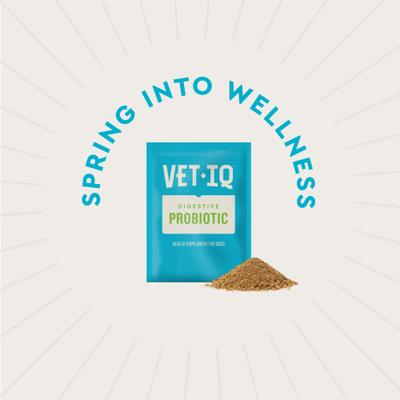 Show full view: VetIQ Chicken Flavored Probiotic Powder Supplement for Dogs & Puppies, 30 count slide 8 of 8
