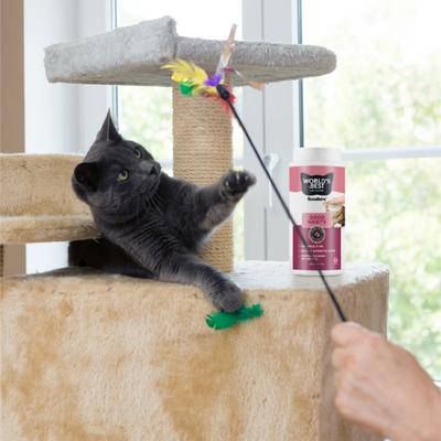 Show full view: World's Best Boosters Good Habits Unscented Cat Litter Additive, 18-oz slide 7 of 10