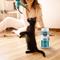 Show in main carousel: World's Best Boosters Poop Fighter Scented Cat Litter Additive, 18-oz slide 6 of 9