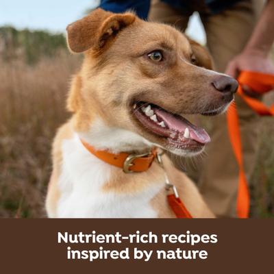 Show full view: Nature's Recipe Freeze-Dried Chicken, Barley & Brown Rice Dog Food, 10.5-lb bag slide 6 of 13