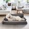 Show in main carousel: Precious Tails Precious Tails Modern Sofa Cat & Dog Bed with Removable Cover, Gray, Large slide 6 of 8