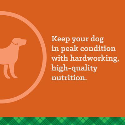 Show full view: Nutrena True Professional 30/20 Dry Dog Food, 50-lb bag slide 8 of 10