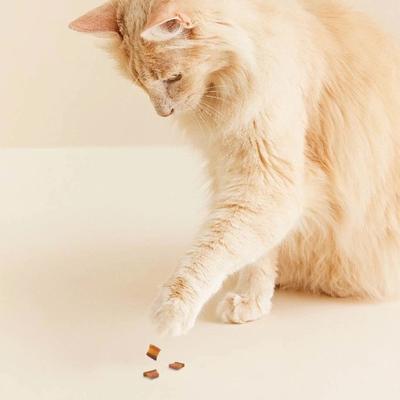 Show full view: Meowee! Snack Stacks Triple Protein with Real Chicken, Salmon & Beef Cat Treats, 1.5-oz bag slide 10 of 10