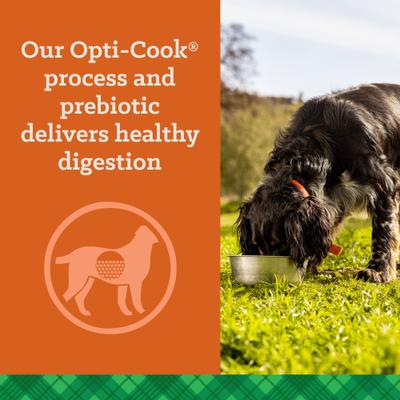 Show full view: Nutrena True Professional 30/20 Dry Dog Food, 50-lb bag slide 5 of 10