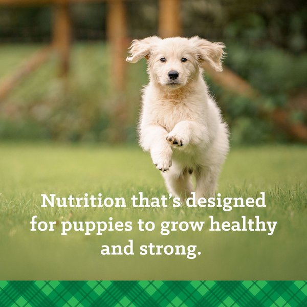Nutrena True Puppy Dry Dog Food, 40-lb bag