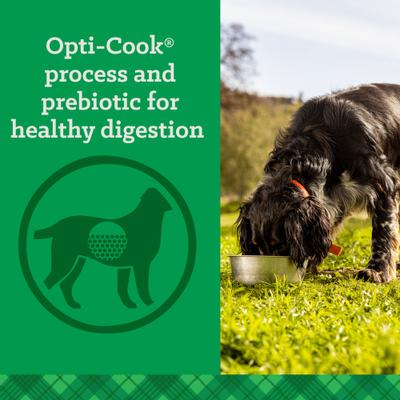 Show full view: Nutrena True Adult Maintenance 21/12 Dry Dog Food, 50-lb bag slide 7 of 10