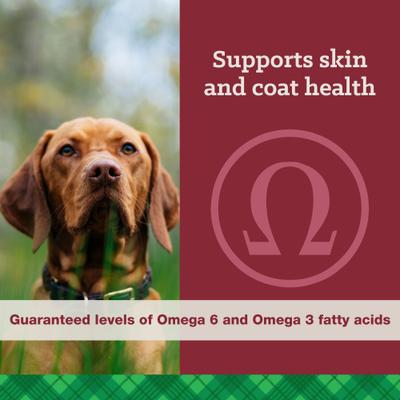 Show full view: Nutrena True High Energy 24/20 Dry Dog Food, 50-lb bag slide 7 of 10