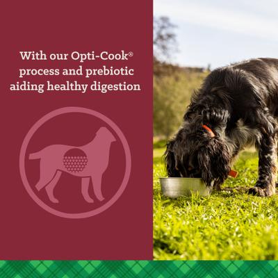 Show full view: Nutrena True High Energy 24/20 Dry Dog Food, 50-lb bag slide 5 of 10