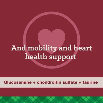 Show full view: Nutrena True High Energy 24/20 Dry Dog Food, 50-lb bag slide 6 of 10