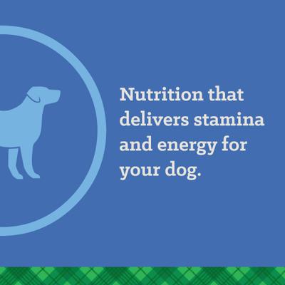 Show full view: Nutrena True Active 26/18 Dry Dog Food, 50-lb bag slide 8 of 10