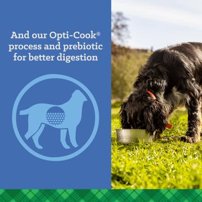 Show full view: Nutrena True Active 26/18 Dry Dog Food, 50-lb bag slide 5 of 10