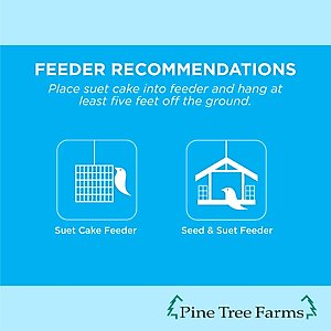 Pine Tree Farms Never Melt Suet Insect Cake Bird Food, 12-oz tray, 12 count