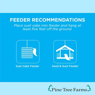 Show full view: Pine Tree Farms Never Melt Suet Insect Cake Bird Food, 12-oz tray, 12 count slide 4 of 10