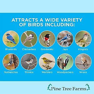 Pine Tree Farms Never Melt Suet Insect Cake Bird Food, 12-oz tray, 12 count