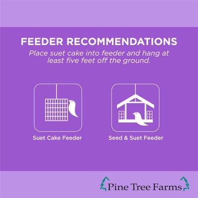 Show full view: Pine Tree Farms Never Melt Suet Berry Cake Bird Food, 12-oz tray, 12 count slide 4 of 9