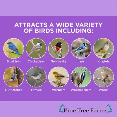 Show full view: Pine Tree Farms Never Melt Suet Berry Cake Bird Food, 12-oz tray, 12 count slide 3 of 9